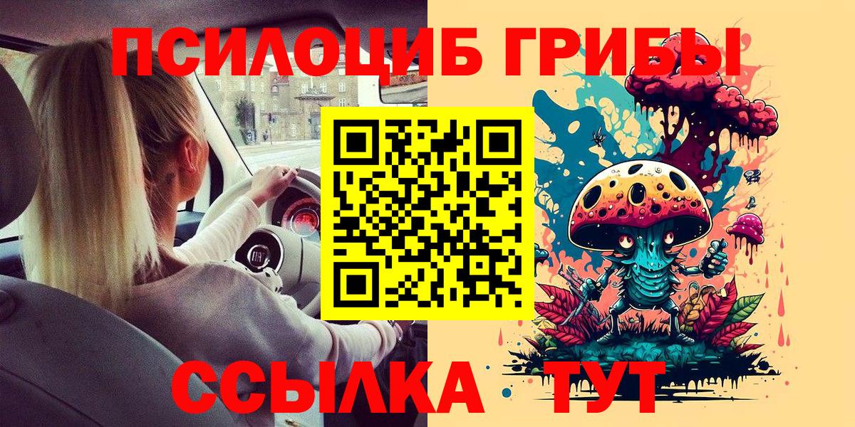 Моздок  Галлюциногенные грибы прущие грибы  закладки  Вход с VPN 